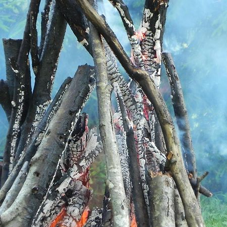 Pensjonat Aliai Uciana Zewnętrze zdjęcie