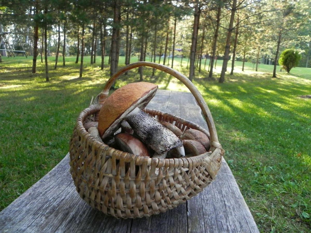 Pensjonat Aliai Uciana Zewnętrze zdjęcie